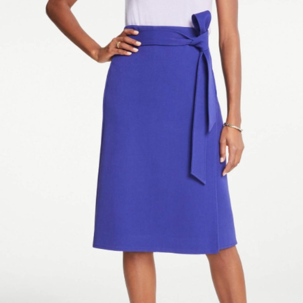 Ann Taylor Skirt